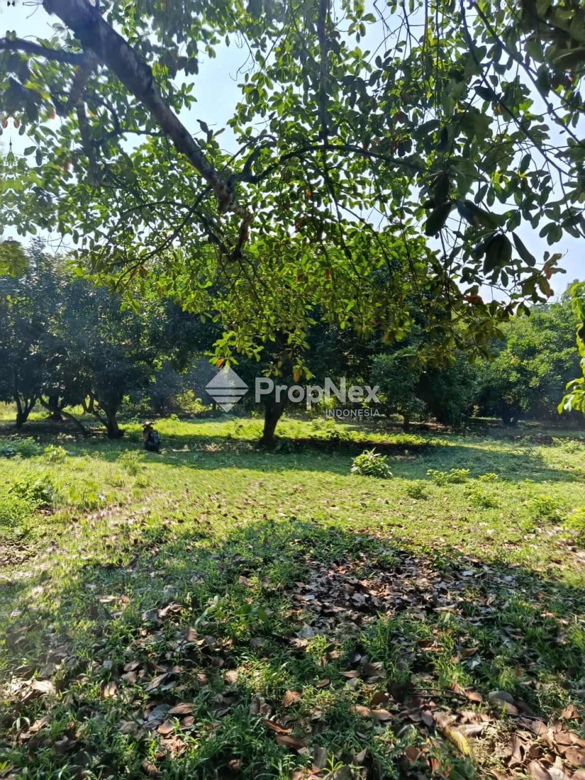 Dijual Tanah di Panongan citra raya Tangerang
